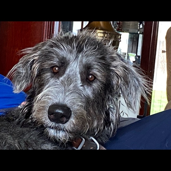 Meet your Posher, Yusoon - Picture 3 of 3